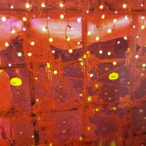 Halloween Light Set - Picture 4 of 5